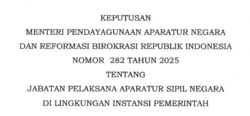 Jabatan Pelaksana ASN di Lingkungan Instansi Pemerintah